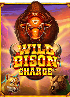 คดี พนันบอล: ค้นหาเกมที่คุณไม่ควรพลาด