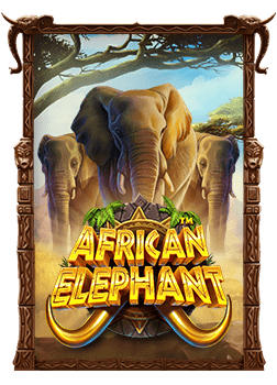 คนในครอบครัว ติดการพนัน ต้องทำอย่างไรดี